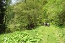 VakantiehuisDuitsland - Eifel: Ferienhaus Auszeit - Für Naturgenuss und Erholung