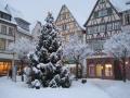 Holiday homeGermany - : 228367