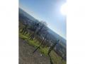 Holiday homeGermany - : 331225