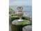 Holiday homeGermany - : 167726  [17] 