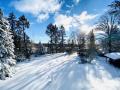 Holiday homeGermany - Harz: 258119