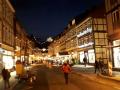 Holiday homeGermany - Harz: 466840