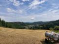 Holiday homeGermany - Eifel: 142704