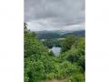 Holiday homeGermany - Eifel: 142704