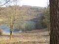 Holiday homeGermany - Eifel: 142704