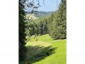 Holiday homeGermany - Black Forest: 264847