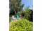 Holiday homeGermany - Black Forest: 264847  [16] 