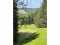 Holiday homeGermany - Black Forest: 264847  [40] 