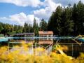 Holiday homeGermany - Black Forest: 474081