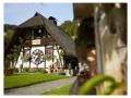 Holiday homeGermany - Black Forest: 474081