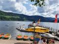 Holiday homeGermany - Black Forest: 165277