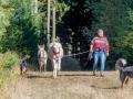 Holiday homeGermany - Black Forest: 217429