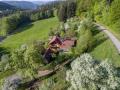 Holiday homeGermany - Black Forest: 217429