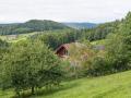 Holiday homeGermany - Black Forest: 217429