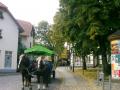 Holiday homeGermany - Harz: 45166