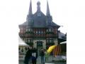 Holiday homeGermany - Harz: 45166