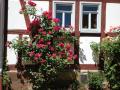 Holiday homeGermany - : 31169