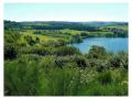 Holiday homeGermany - Eifel: 479685