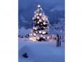 Holiday homeGermany - : 86156