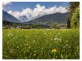 Holiday homeGermany - : 86156