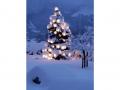 Holiday homeGermany - : 22733