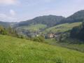 Holiday homeGermany - Black Forest: 100098