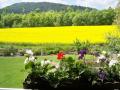 Holiday homeGermany - : 99381