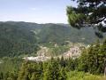 Holiday homeGermany - Black Forest: 262967