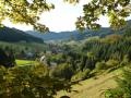 Holiday homeGermany - Black Forest: 46045