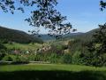 Holiday homeGermany - Black Forest: 46045