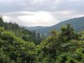 Holiday homeGermany - Black Forest: 46045