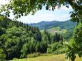 Holiday homeGermany - Black Forest: 46045