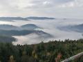 Holiday homeGermany - Black Forest: 46045