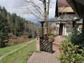 Holiday homeGermany - Black Forest: 46045