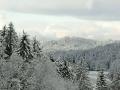 Holiday homeGermany - Black Forest: 46045