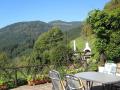 Holiday homeGermany - Black Forest: 46045