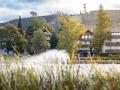 Holiday homeGermany - Harz: 432981