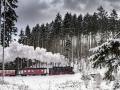 FerienhausDeutschland - Harz: 387667