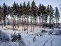 FerienhausDeutschland - Harz: 387565