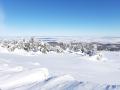 FerienhausDeutschland - Harz: 266088