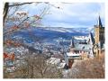 Holiday homeGermany - Harz: 466080