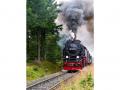 VakantiehuisDuitsland - Harz: 466080