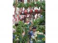 Holiday homeGermany - : 7681