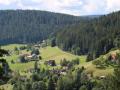 Holiday homeGermany - Black Forest: 380683