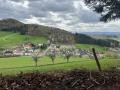 Holiday homeGermany - Black Forest: 423658