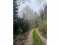 Holiday homeGermany - Black Forest: 423658  [15] 