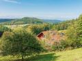 Holiday homeGermany - Black Forest: 216303