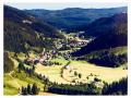 Holiday homeGermany - Black Forest: 314248