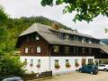 Holiday homeGermany - Black Forest: 297989