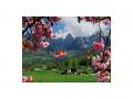 Holiday homeGermany - : 479748